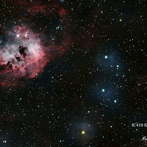IC410_Kaulquappennebel