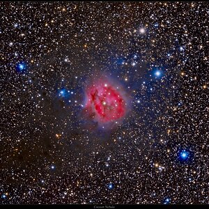 Cocoon Nebula