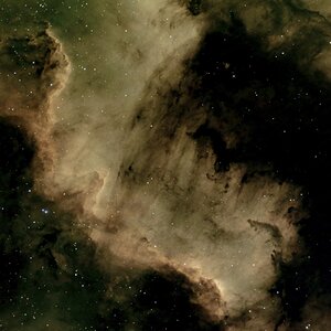 Cygnus_Wall_1003_Fits_a_15s_ISO_1000_Antila_Triband_SQM_19.6_Bortle_8 Kopie.jpg