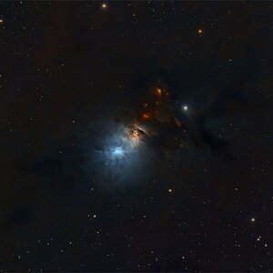 NGC1333