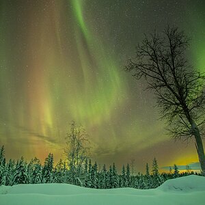 Nordlichter in Schweden