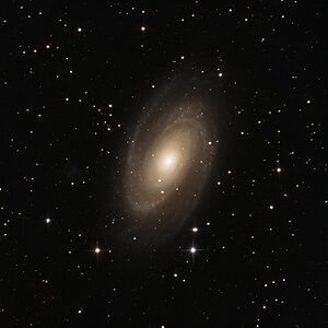 M 81 Bodes-Galaxie