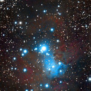 NGC 2264.jpg
