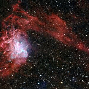 Flamender Stern Nebel