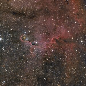 IC 1396A - Elefantenrüssel
