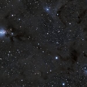 NGC_1333-Embryo Nebel