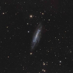 ngc4236A.de-1.jpg