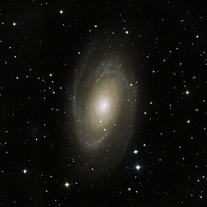 M81.jpeg
