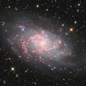 M33 - Die Dreiecksgalaxie voller Halpha Knötchen