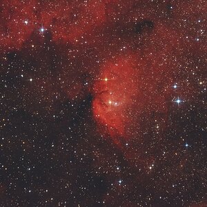 SH2-101