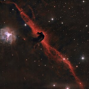IC434_RC8_Reducer_CanonEOS2000Da_Eq6_210min.jpg