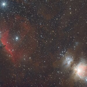 Orionnebel, Flamme und Pferd