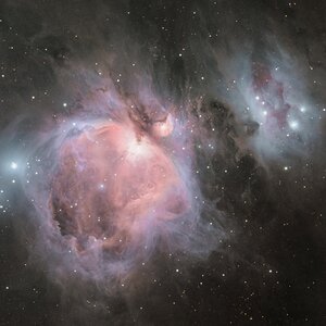Mein First Mono: M42+M43 LRGB