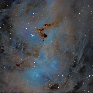 IC 447.jpg