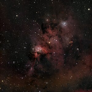sh2_155_clone.jpg