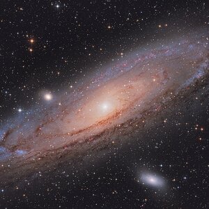 M31