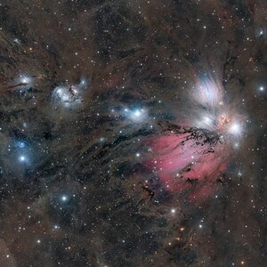 NGC 2170 Angel Nebula