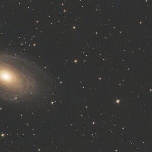 M81+M82_starnet.jpg