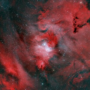 NGC2264_QHY268M_HG6_50x40_A_030126.jpg