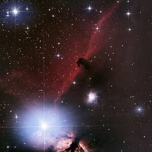Horsehead Nebula / Pferdekopfnebel