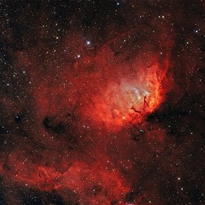 Tulip_HnGOIII_plus SII_RGBstars_crop