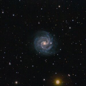 Ngc3184