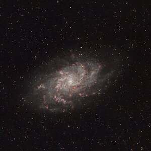 M 33