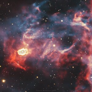 NGC40
