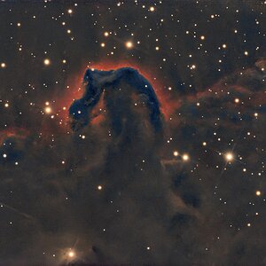 IC434_RC8_SvBony705c_EQ6pro_Vera_Lux.jpg