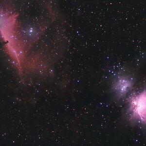 Orionnebel bis Pferdekopfnebel mit 55mm Objektiv