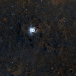Irisnebel
