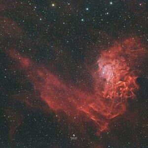 The Flaming Star Nebula
