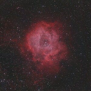 NGC2243 Rosetten Nebel 30min
