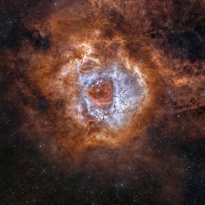 NGC 2238