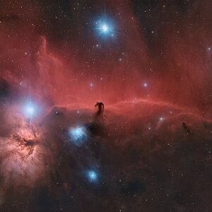 IC 434 u. NGC 2024