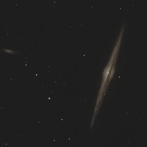 NGC4565.jpg