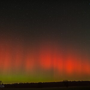 Corona_Borealis