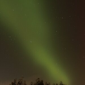 IMG_9313.JPG