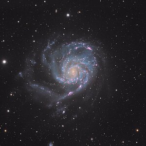 Messier 101 / NGC 5457 – Die Feuerradgalaxie / Pinwheel Galaxy