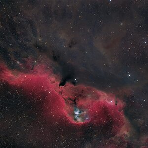 Orion-Region bei LDN1584