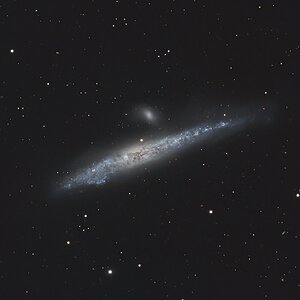 NGC4631.jpg