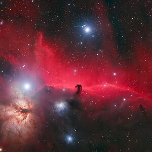 IC434 / NGC2024