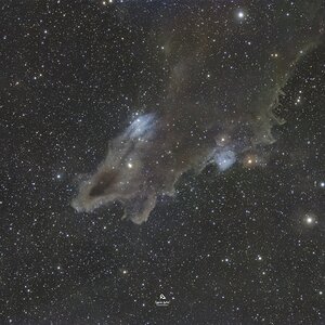 LDN 1235 - der Haifisch Nebel