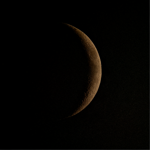 Mond