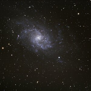 M33