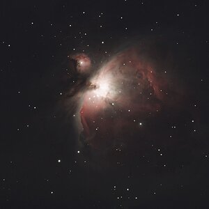 M42