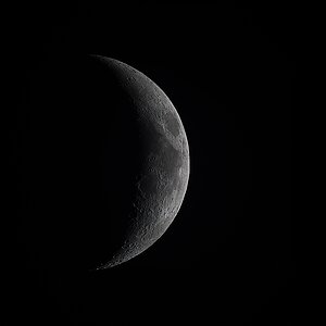 Mond