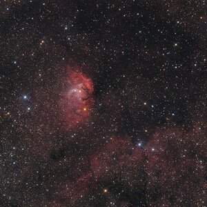 Sh2-101 - Tulpennebel