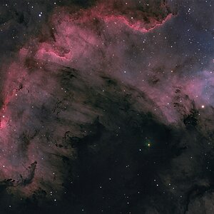 Cygnus Wall