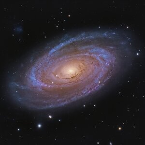 M81 Bode´s Galaxie